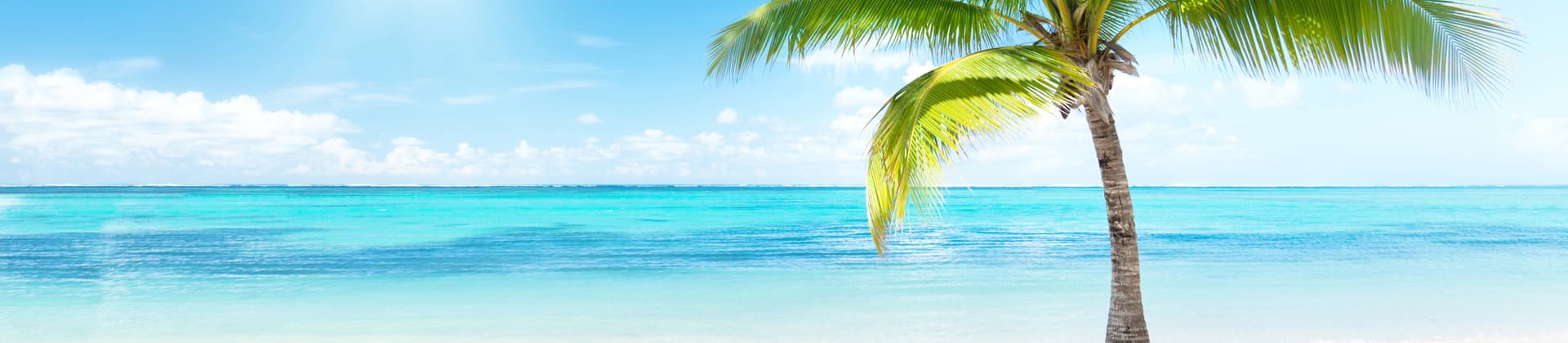 cancun pauschalreisen 2024 mit flug und hotel