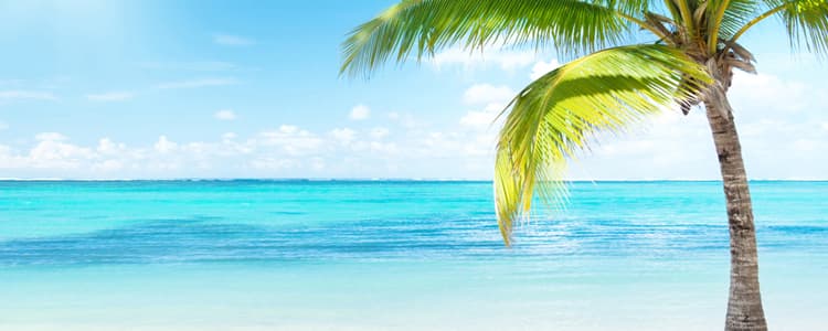 new operator - What is the 'new' keyword in JavaScript? - Stack Overflow visual data 6