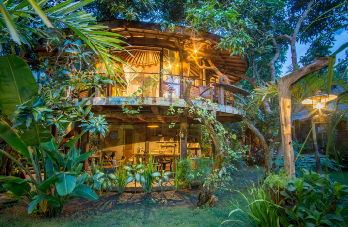 Dschungelhaus-2
