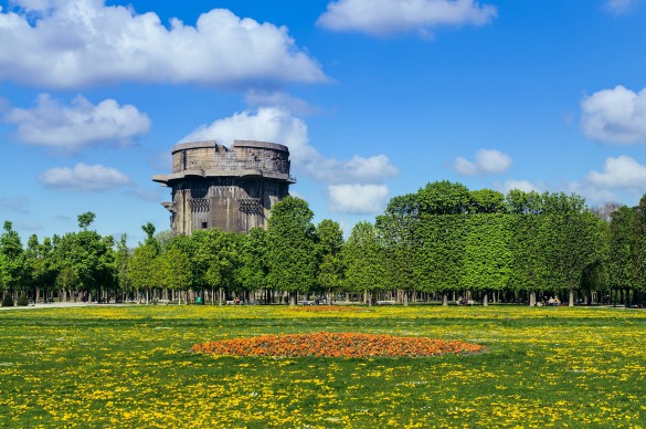Foto: istock.com/ Dinkaspell