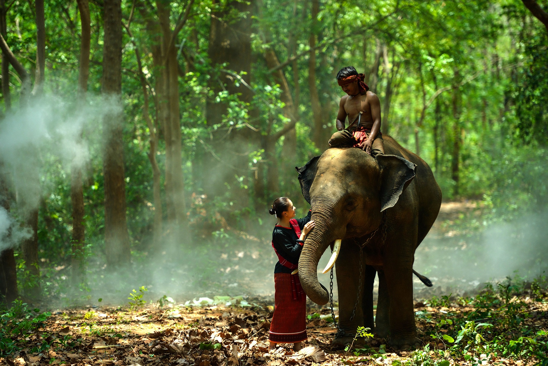 Elefantenreiten in Thailand - tolle Erfahrung oder No Go?