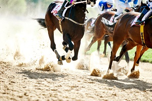 Reiseziele August_Events_Festivals_Palio di Siena Pferderennen