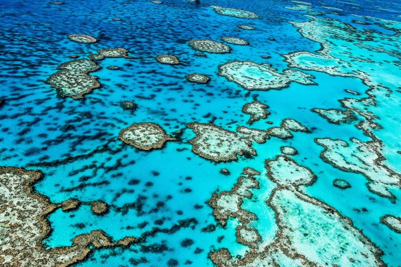 Ist das Great Barrier Reef tot?