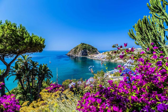 Ischia and Bougainvillea glabra