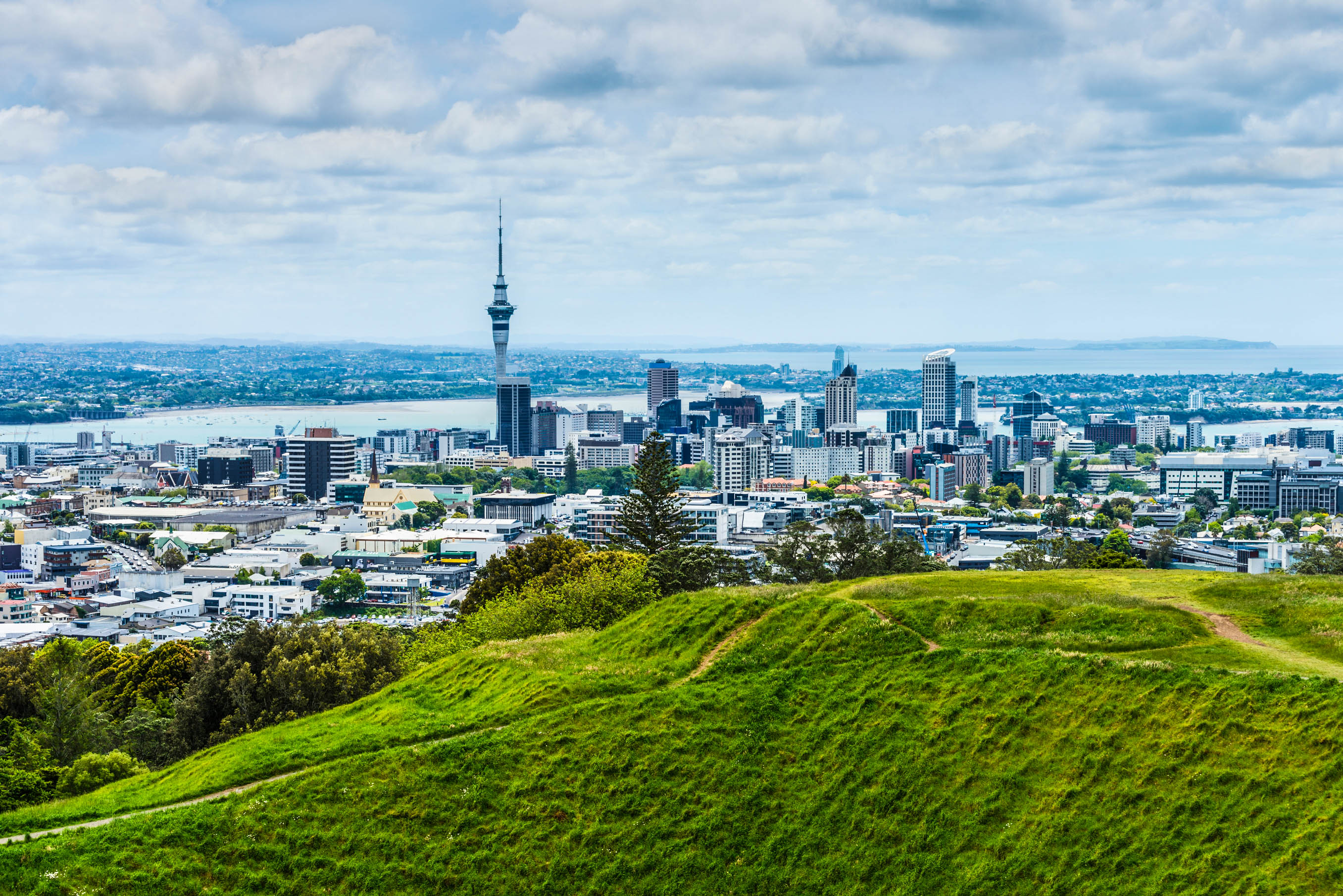Auckland Tipps Skyline