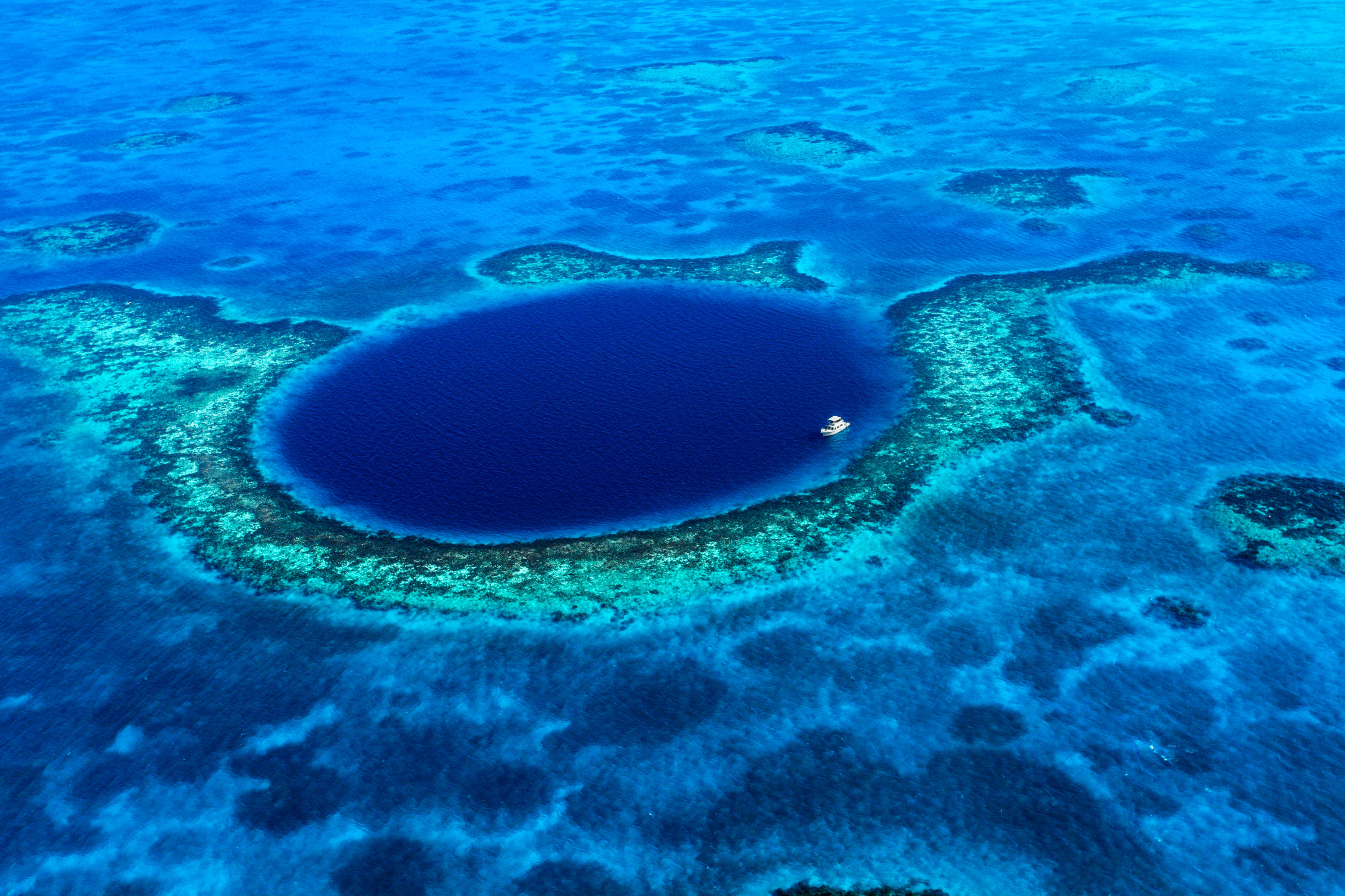 Great Blue Hohle Belize Karibik