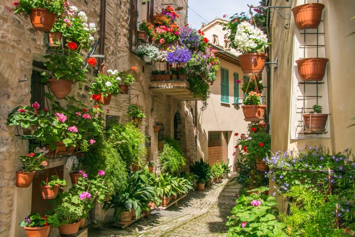 shutterstock_423795742