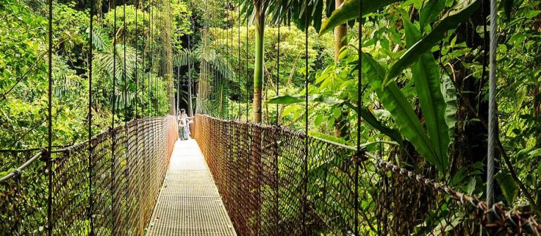 Hängebrücken in Costa Rica Arenal National Park iStock_11884737