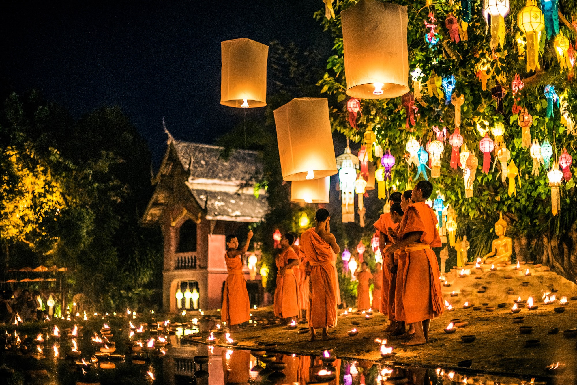 Chiang Mai Loy Krathong 2024 - Cicely Ardenia