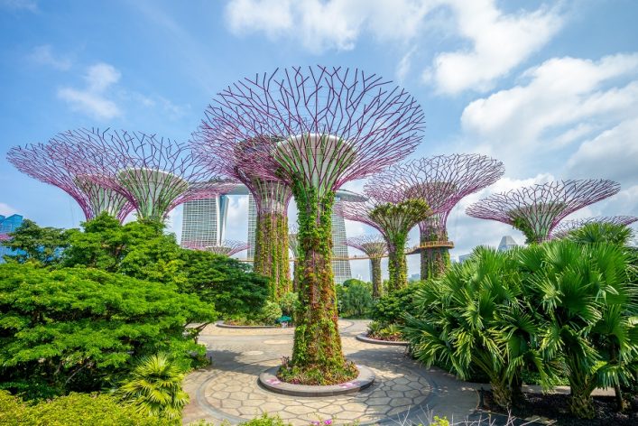 Futuristische, baumähnliche Strukturen im Gardens by the Bay, Singapur. Grüne Pflanzen umgeben die