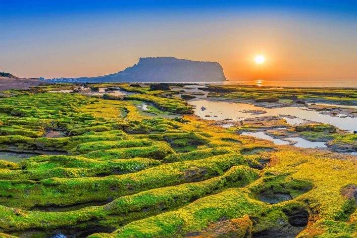 Insel-Jeju-Suedkorea-iStock-802915012