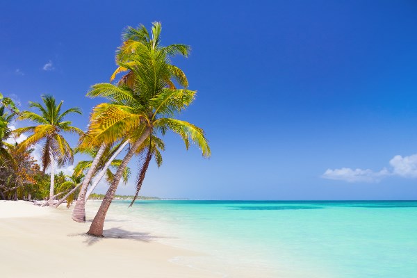 Beste Reisezeit Punta Cana