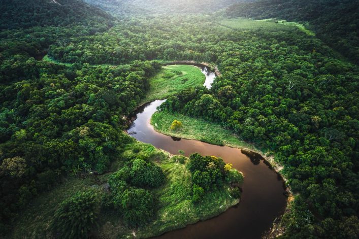 Regenwald-in-Brasilien-iStock-935746242