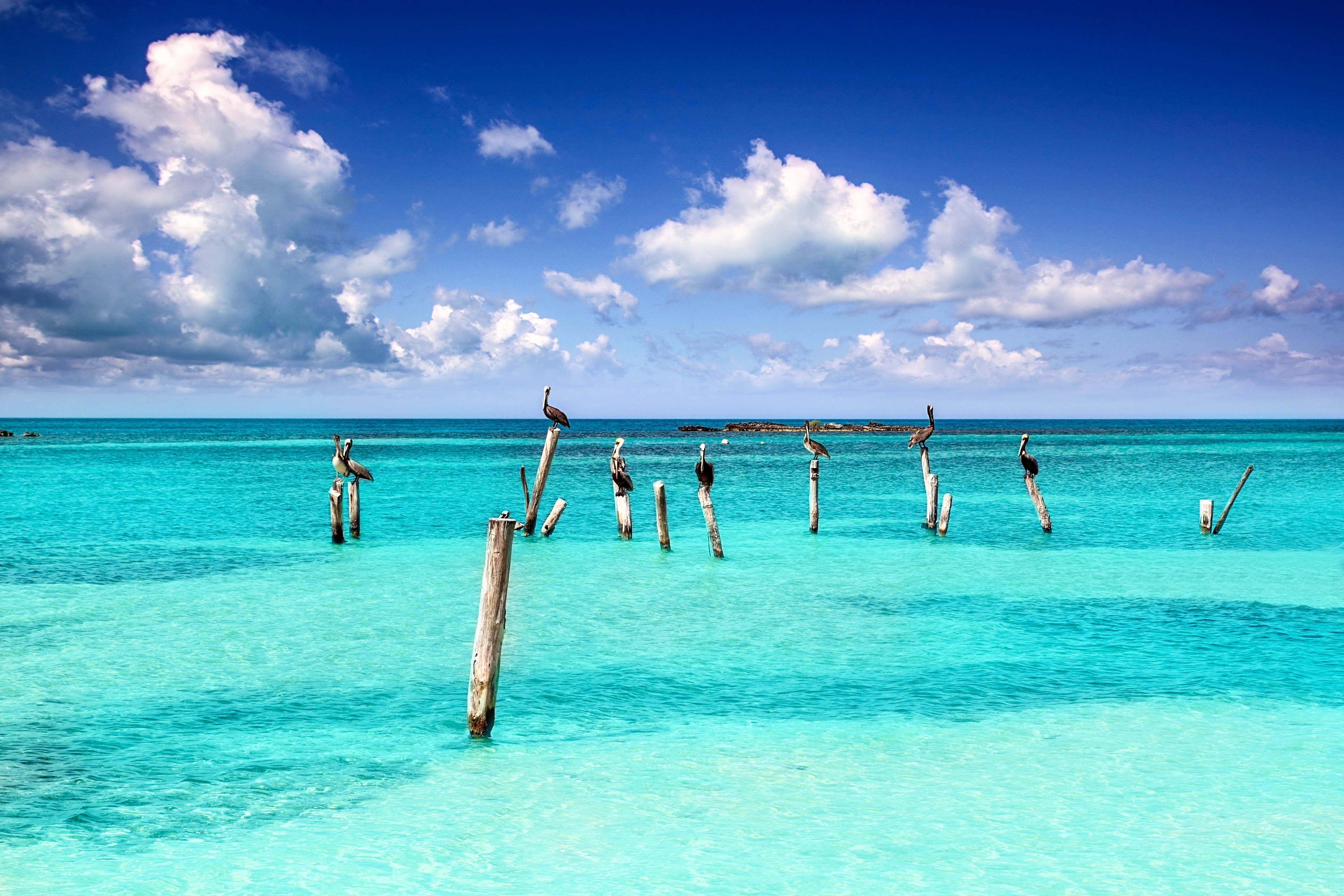 Strand, Meer und Pelikane in Cancun
