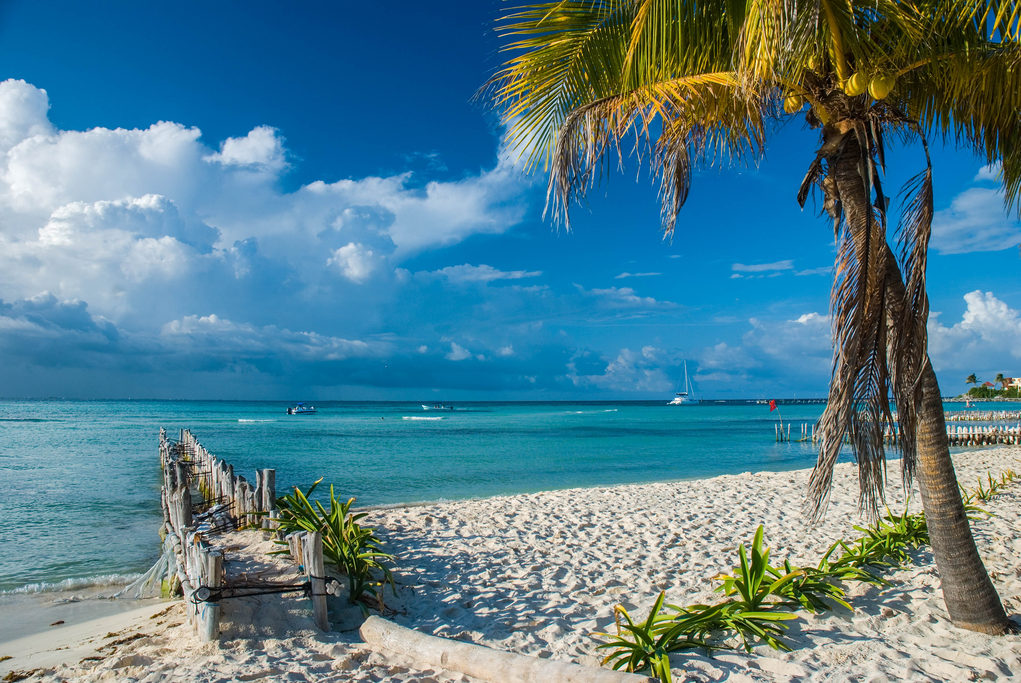 Cancún Tipps Isla Mujeres Strand