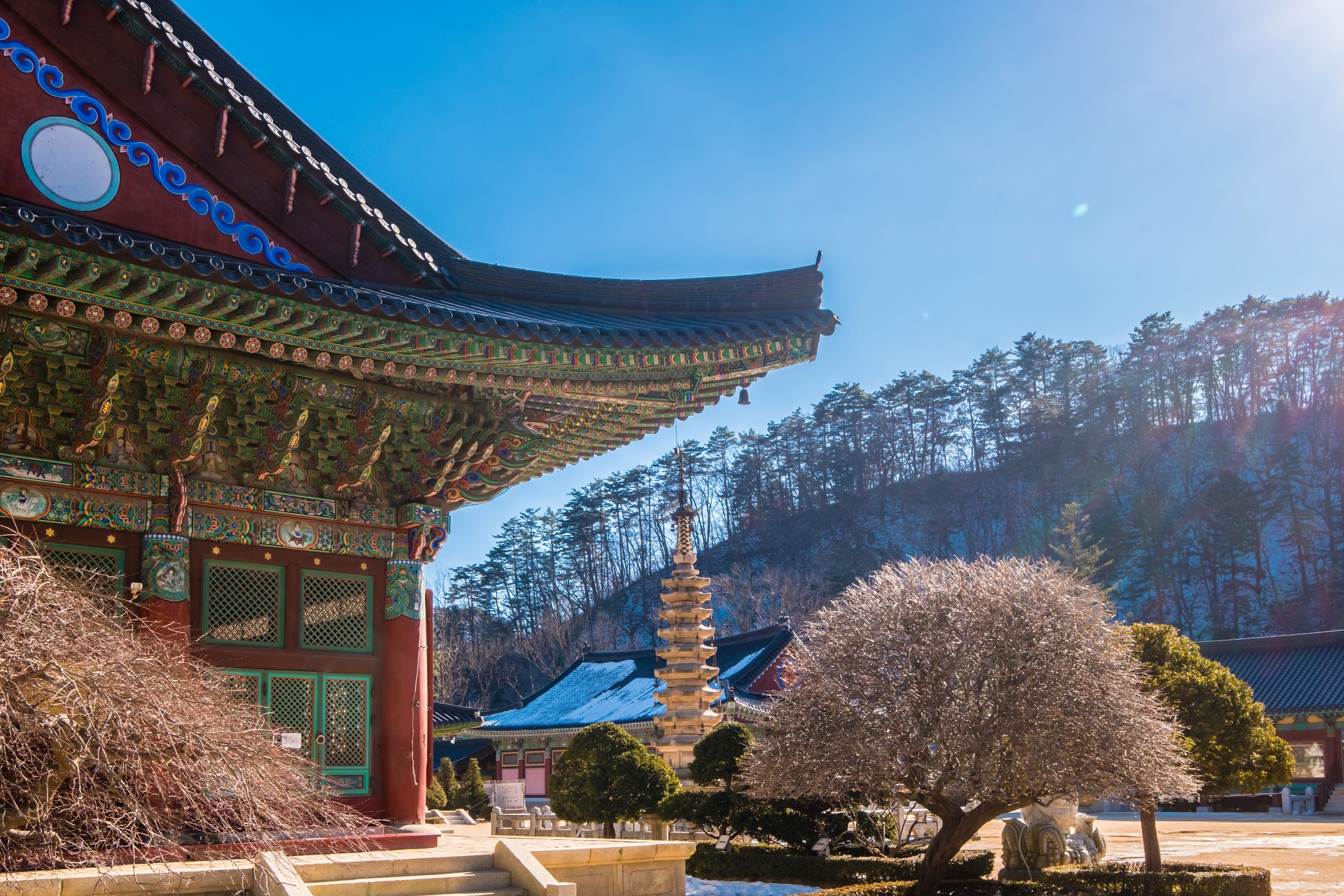 Besucht Pyeonchang in Südkorea während der Winterspiele 2018