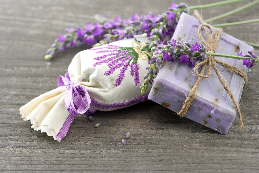 Lavendelfelder in der Provence: Lavendel in verschiedenen Variationen