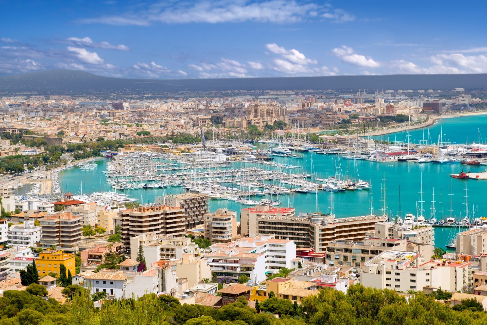 Ein Hafen in Palma mit Schiffen auf Mallorca