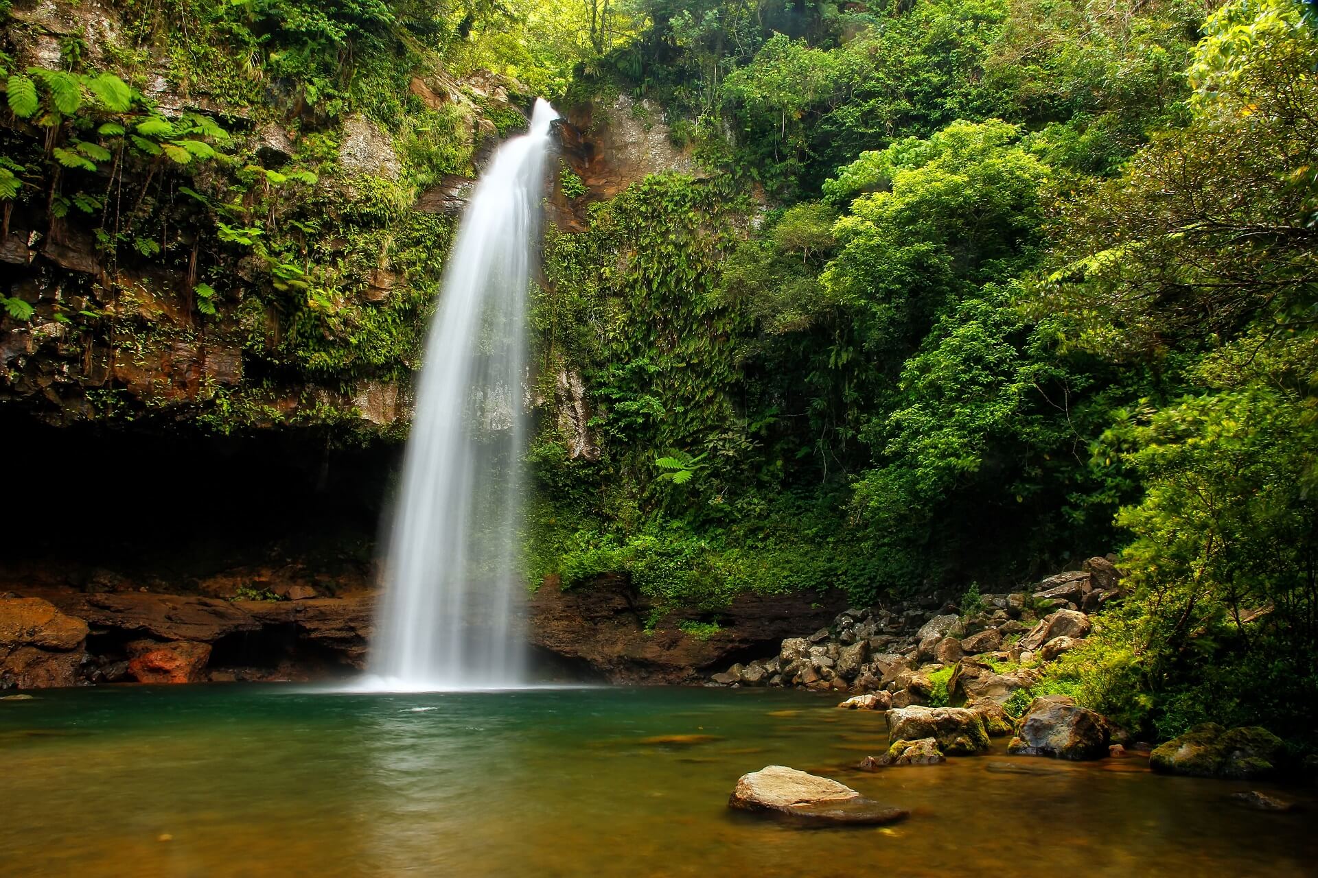 Im Inneren der Inseln findet man dichte Regenwälder und Wasserfälle