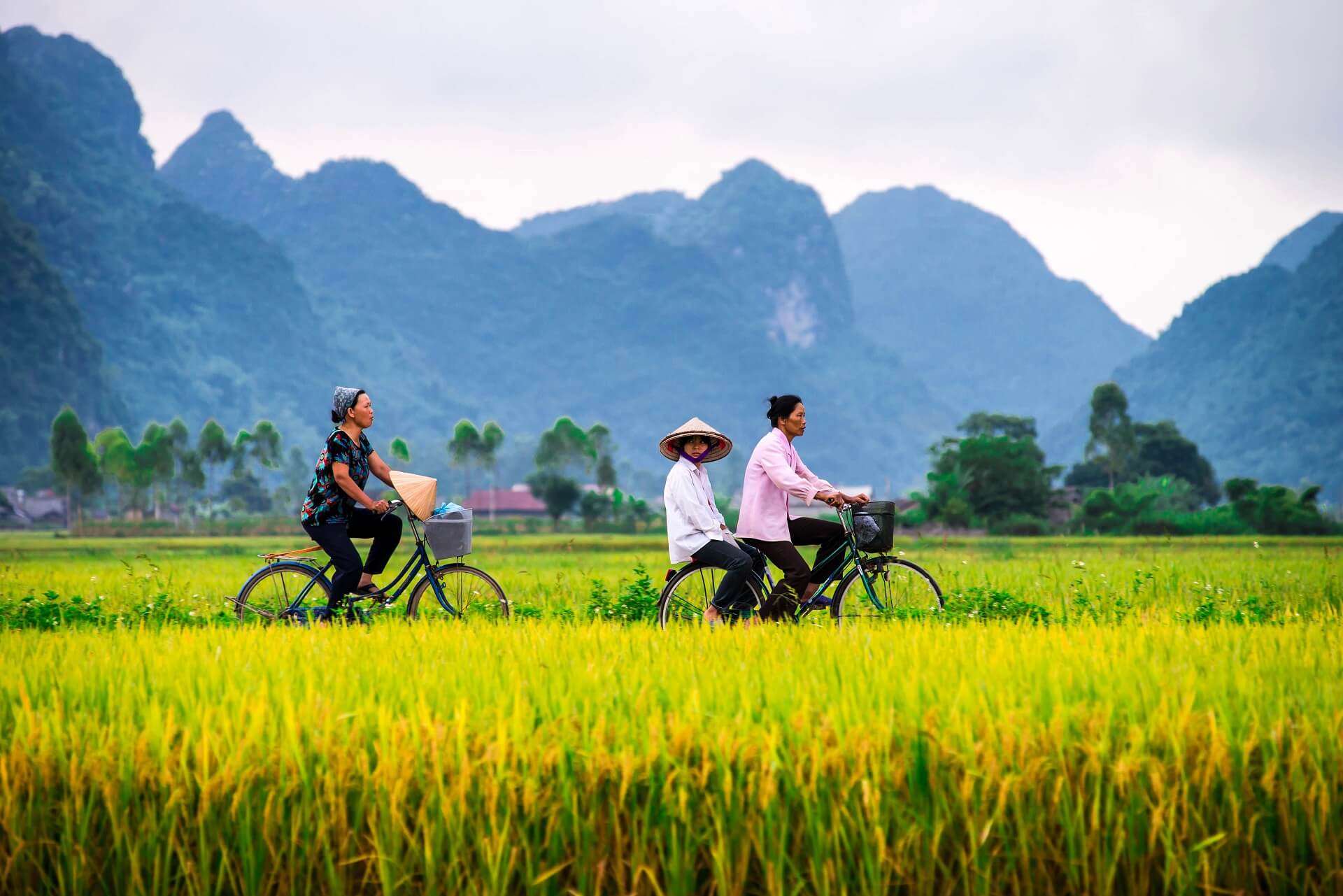 Vietnam bietet seinen Reisenden eine wunderschöne Natur an den Küsten und im Innenland
