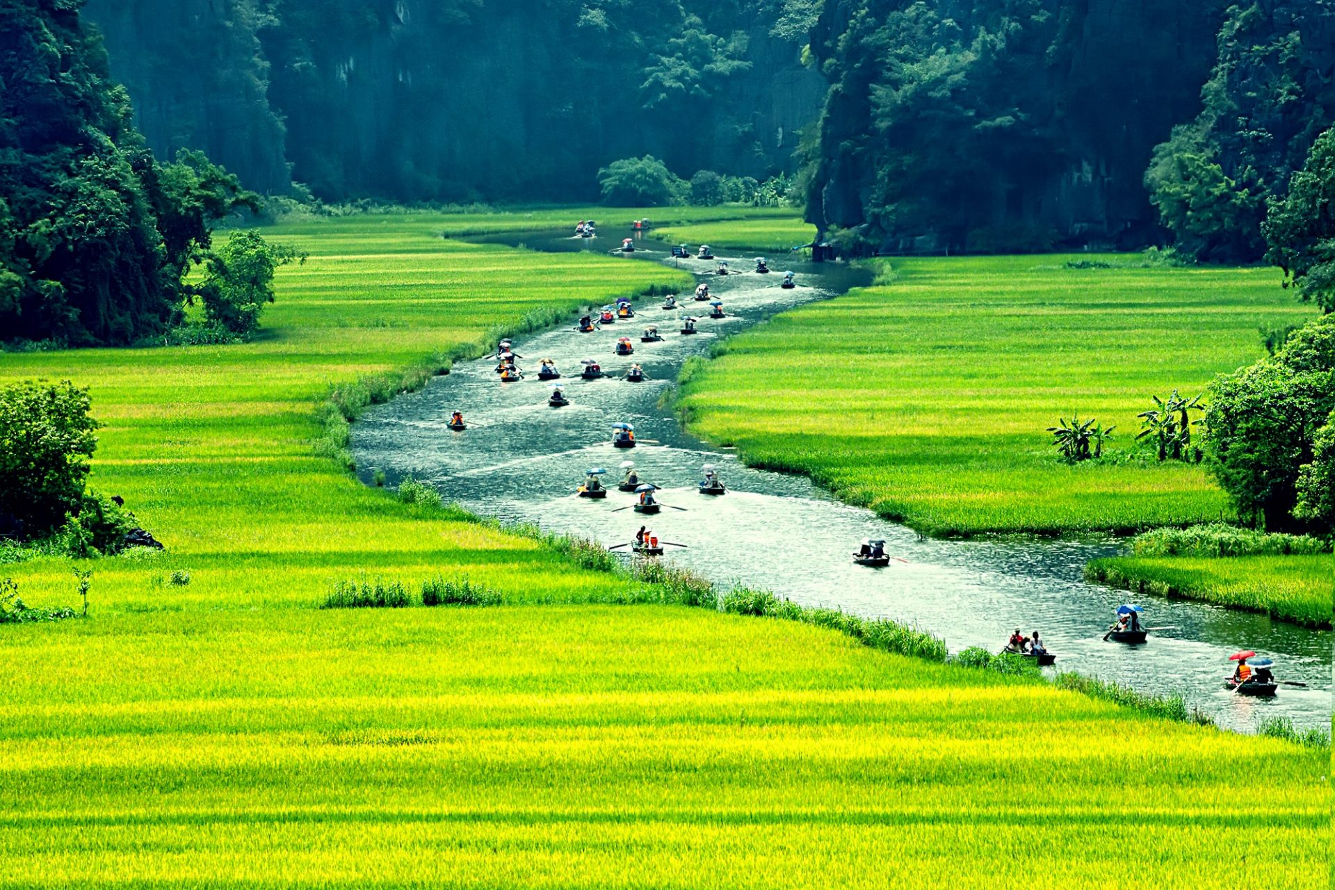 Vietnam überzeugt viele Profibackpacker mit einer unglaublich schönen Natur