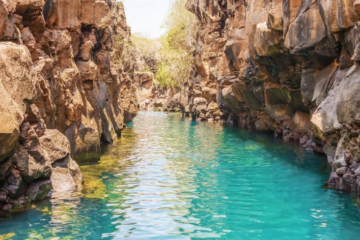 Auf den Galapagosinseln kann man in der Schlucht Las Grietas schwimmen