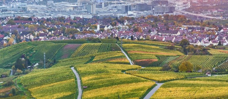 Neckar-Velley-in-Stuttgart_colorful-wine-growing-region-in-the-south-of-Germany_765709876_Header