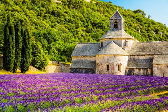 Frankreich Tipps, Provence, Lavendelfelder