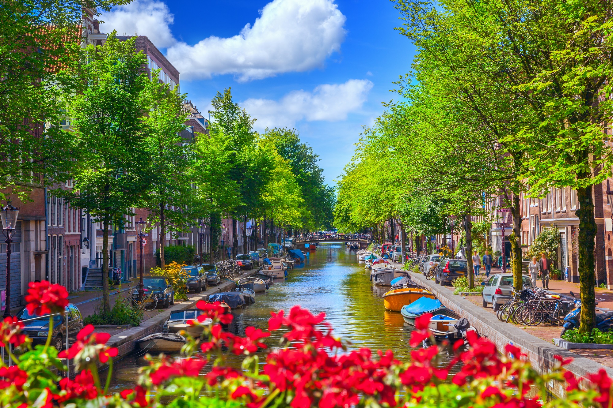 5 Gründe für Amsterdam im Sommer Urlaubsguru.at