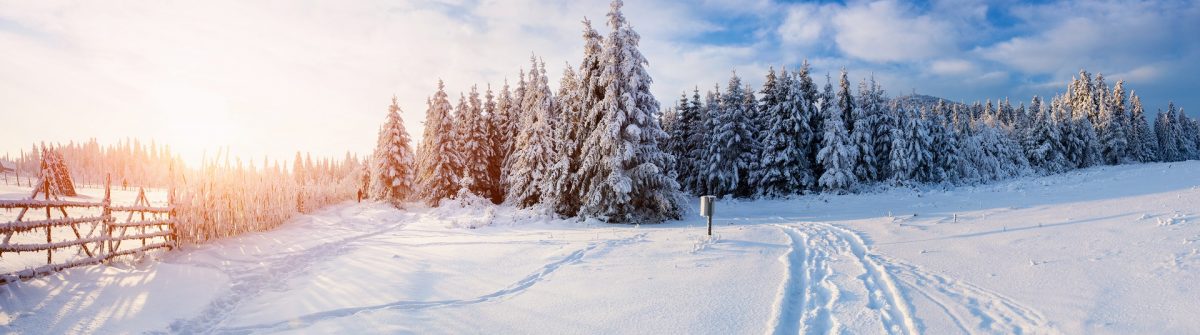 winter-landscape-snow-shutterstock_230158126a