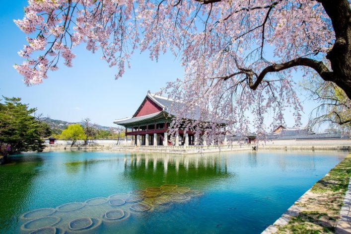 Gyeongbokgung-Palast-mit-Kirsche-Bluete-iStock_528063548_900x600