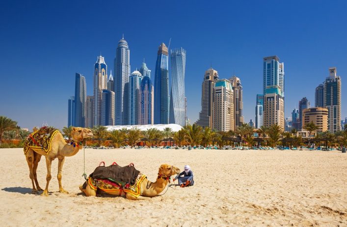 Zwei Kamele am sonnigen Strand mit einem Mann, Hintergrund zeigt Dubais imposante Skyline.
