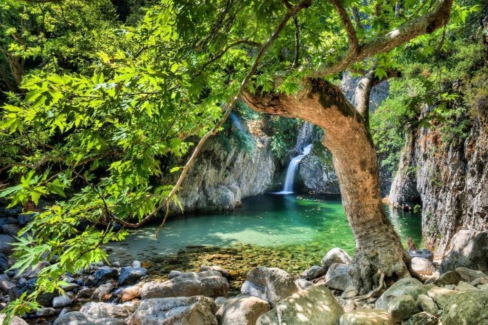 Dichter, grüner Baum mit ausladenden Ästen im Vordergrund; darunter klarer Fluss mit Wasserfall im Hintergrund, umgeben von Felsen und üppiger Vegetation, vermittelt Ruhe und Naturverbundenheit.