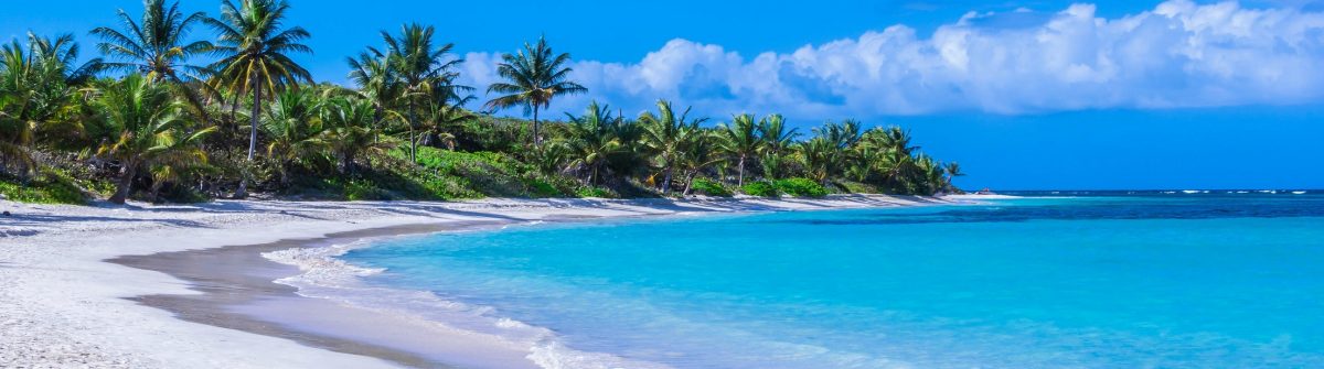 Beautiful white sand Caribbean beach