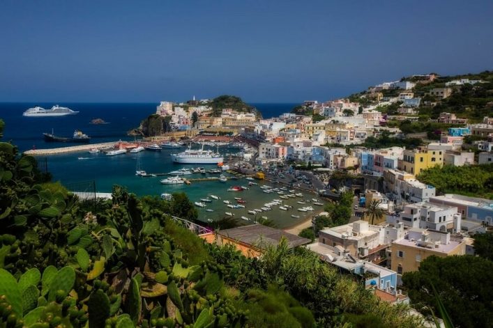 Blick auf den Hafen von Ponza, Italien. Im Vordergrund Kaktuspflanzen, in der Mitte zahlreiche Boote im Wasser, im Hintergrund bunte Häuser an Hügeln und ein Kreuzfahrtschiff im blauen Meer.