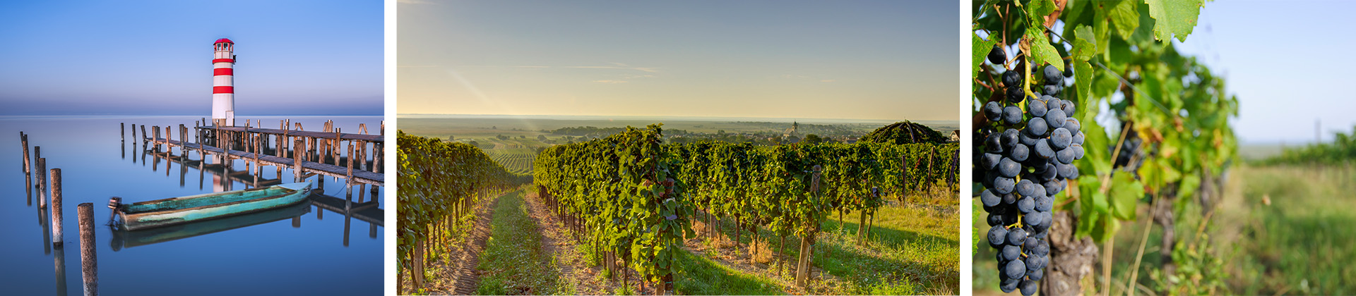 Weinanbaugebiete und Seen im Burgenland 