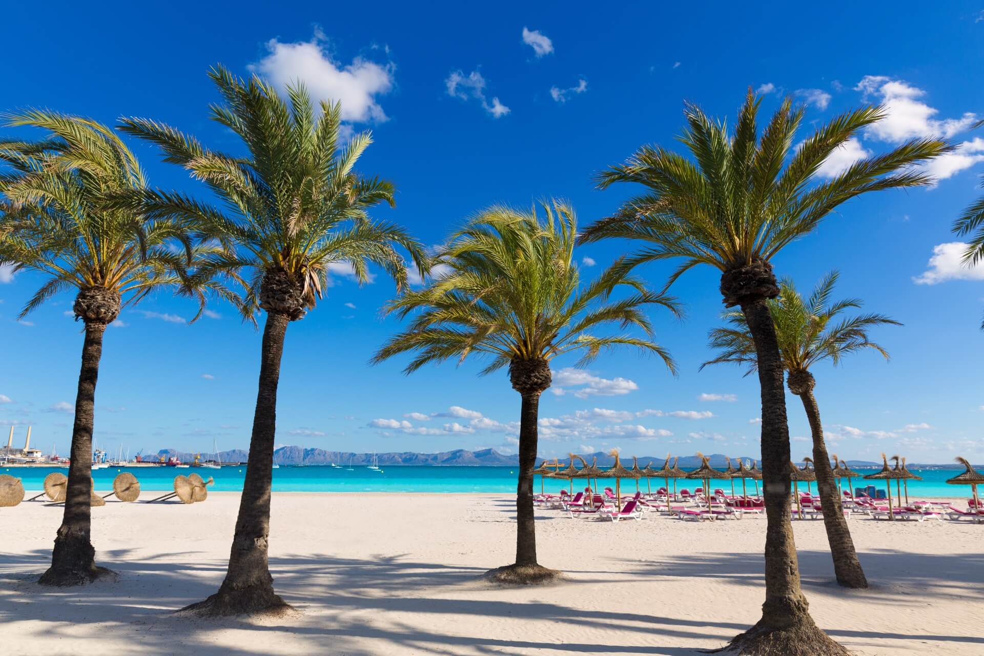 Alcúdia auf Mallorca ? Alle Tipps & Angebote | Urlaubsguru