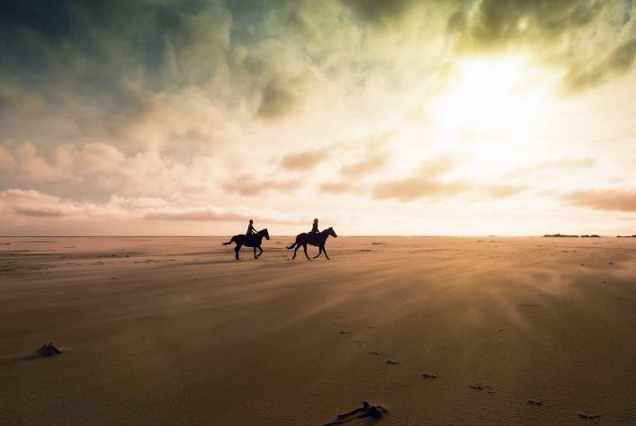 Auf Djerba warten viele spannende Ausflüge auf euch