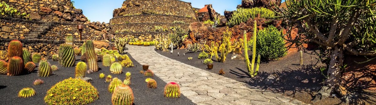 Tropical-cactus-garden-in-Guatiza-village-Lanzarote-Canary-Islands-Spain_579514030