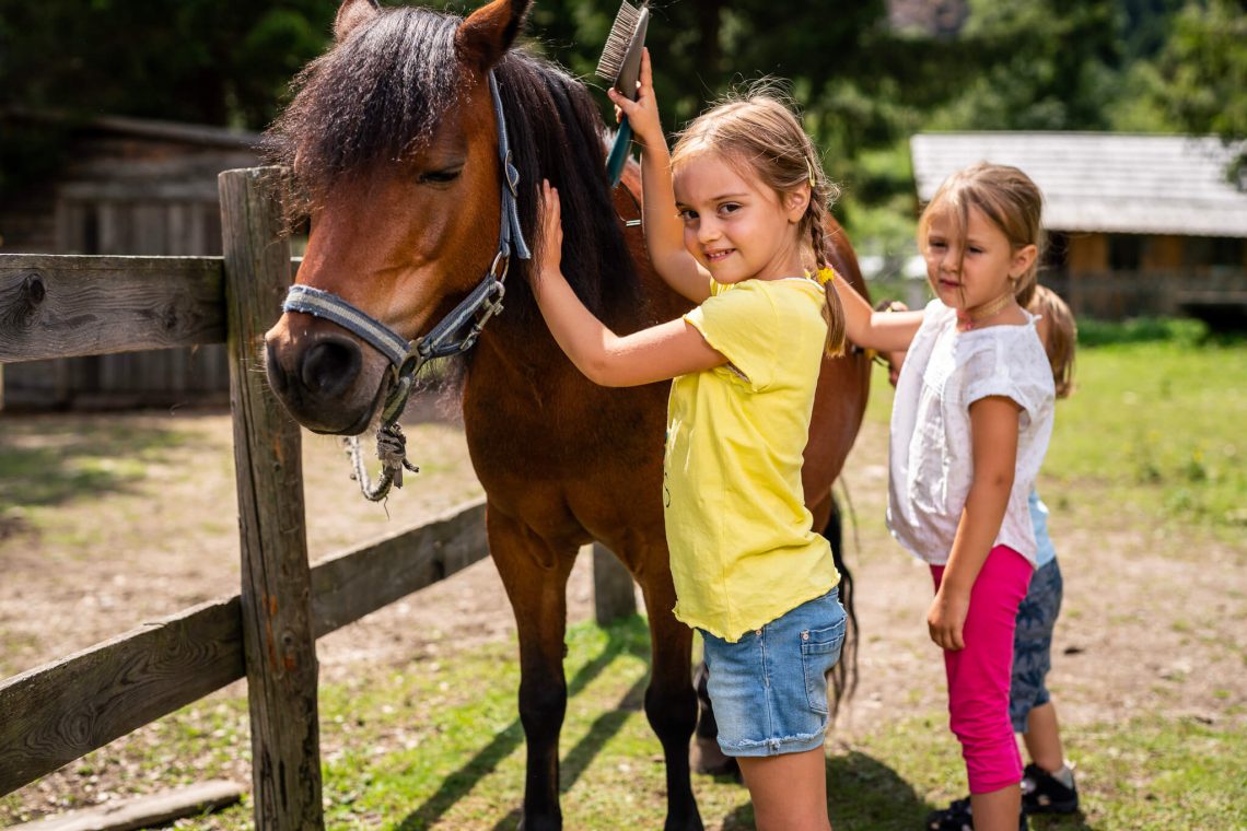 348_5366_web_trattlerhof©gert_perauer