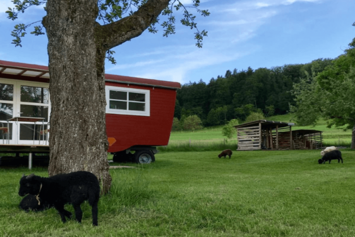 UG-Airbnb_schindelwagen5