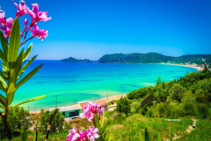 Blick auf türkisblaues Meer und grünen Hügel am Strand von Agios Georgios Pagon auf Korfu. Im Vordergrund rosa Blüten, dahinter eine Küstenstraße mit wenigen Gebäuden und ein üppiger Hang.