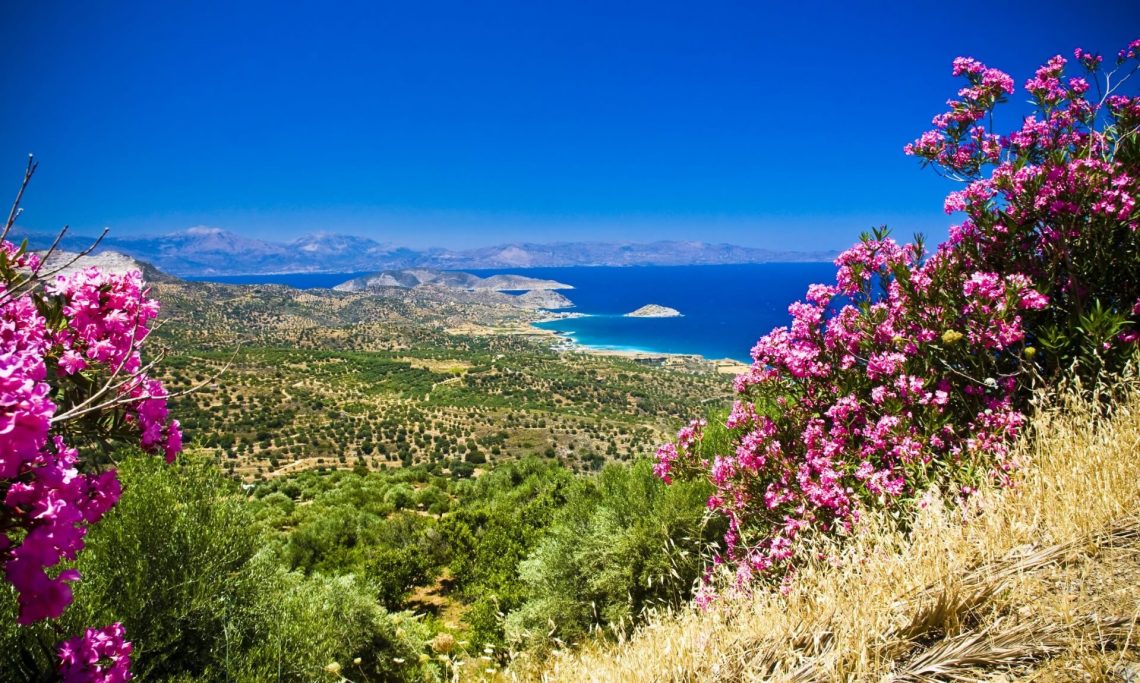 Kreta-Panorama-mit-pinken-Blueten_landscape-of-Crete-with-beautiful-flowers_shutterstock_120529678_kleiner-1