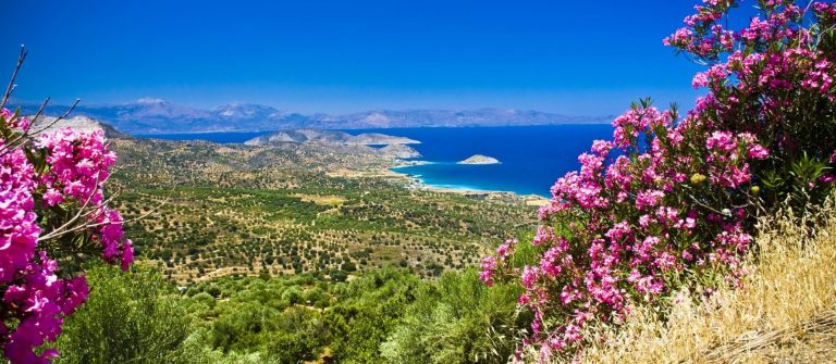 Kreta-Panorama-mit-pinken-Blueten_landscape-of-Crete-with-beautiful-flowers_shutterstock_120529678_kleiner-1