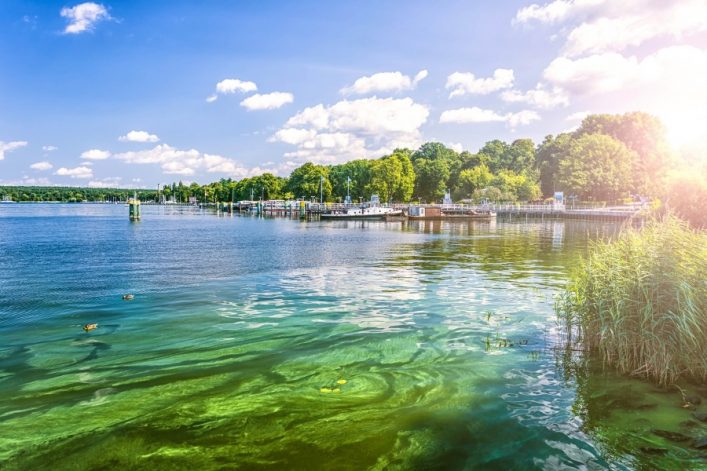 Klares Wasser mit grünen Algen im Vordergrund, Schilf am rechten Rand. Im Hintergrund blauer Himmel mit weißen Wolken und eine grüne Waldlinie. Links schwimmen Enten, im Zentrum ein kleiner Steg.