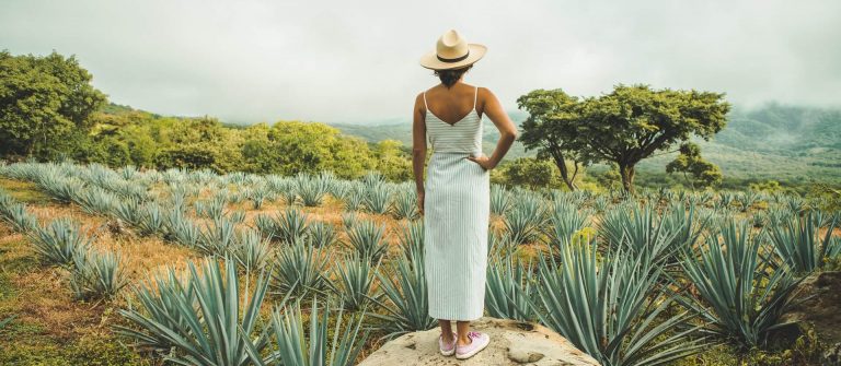 frau_mexiko_tulum_feld_pflanzen_iStock_1044253678