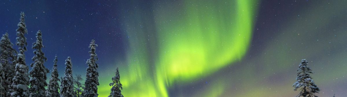 Nordlichter über dem Pyhae Luosto Nationalpark im Norden Finnlands