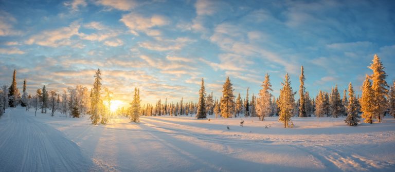 Schneelandschaft bei Sonnenuntergang, gefrorene Bäume im Winter in Saariselka, Lappland, Finnland