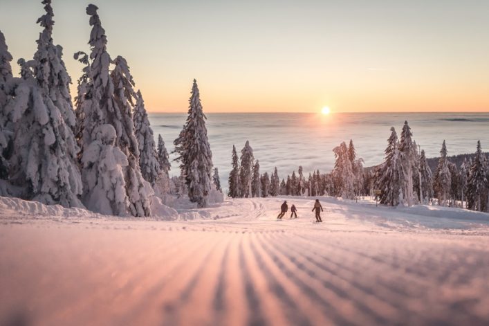Langlaufen im Winter im Genießerhotel Bergergut
