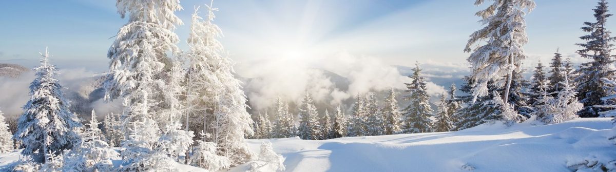 Verschneite Bäume stehen auf einem Hügel, die Sonne strahlt am Horizont zwischen den Wolken. Der blaue Himmel erstreckt sich über einer friedlichen Winterlandschaft.